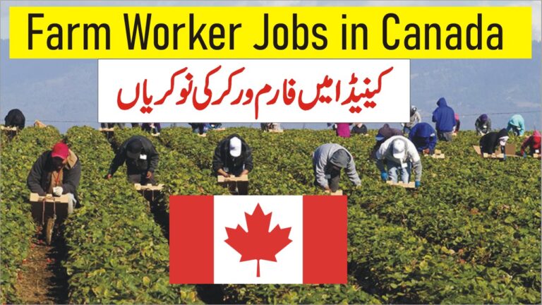 Farm Worker Jobs in Canada with Visa Sponsorship Online Apply
