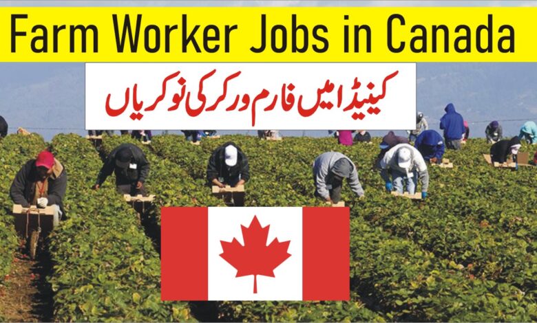 Farm Worker Jobs in Canada with Visa Sponsorship Online Apply