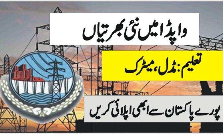 wapda jobs 2023