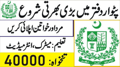 Board of Revenue Punjab Jobs 2023