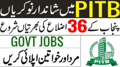 PITB Jobs 2023 – Apply Online