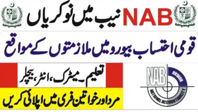 NAB Jobs 2023 | National Accountability Bureau Services Required