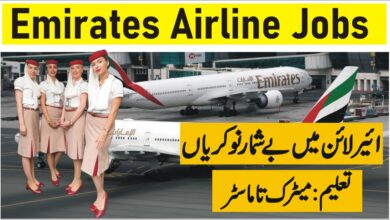 Emirates Airline Jobs – How to Apply for Emirates Group Careers