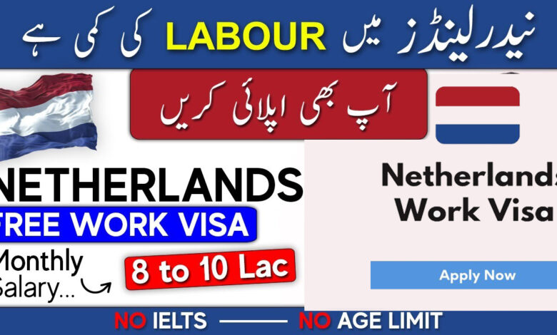 Netherlands Work Visa Without Job Offer - How To Apply