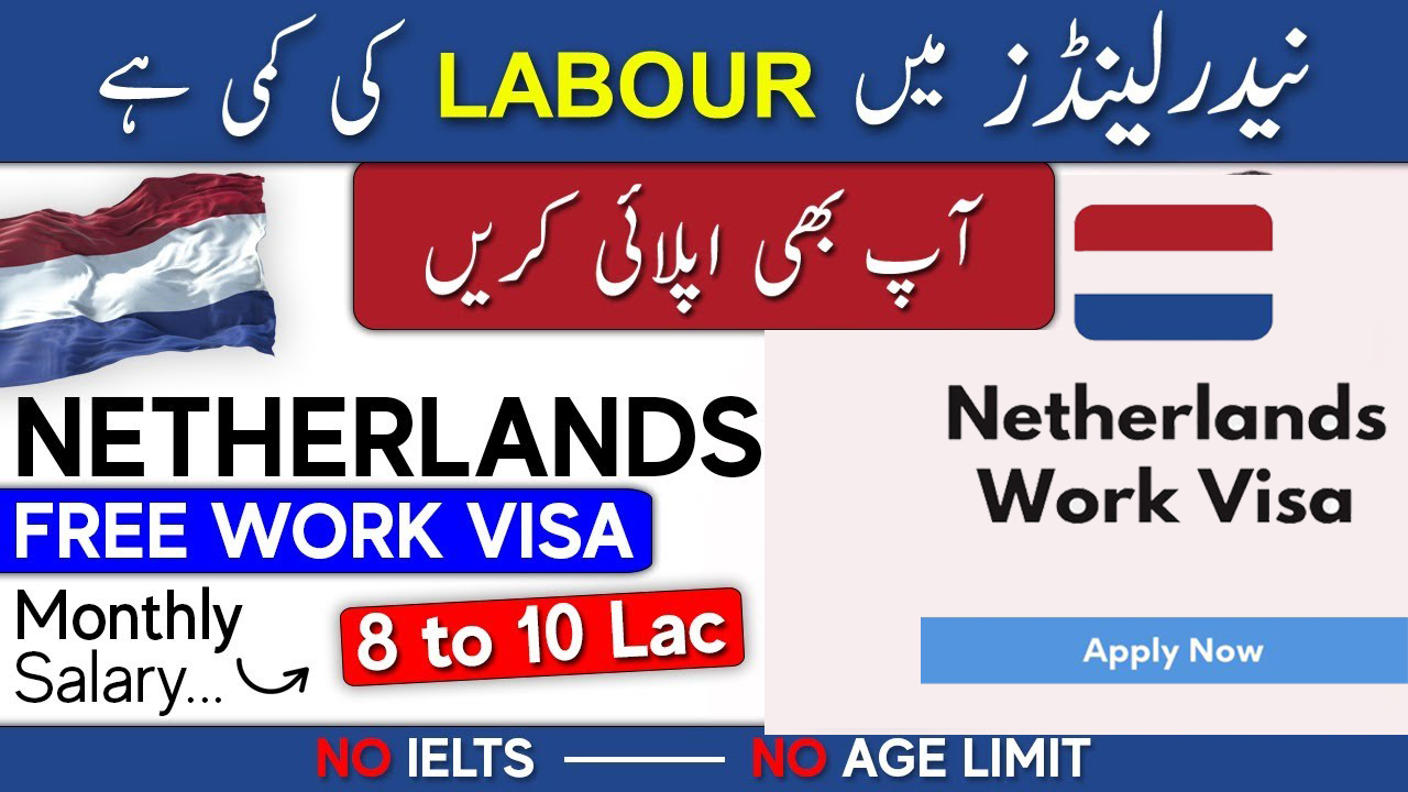 Netherlands Work Visa Without Job Offer - How To Apply
