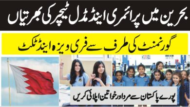 Primary and Middle Teachers Jobs in Kingdom of Bahrain