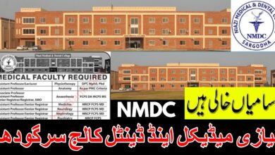 Niazi Medical & Dental College Sargodha Jobs 2023