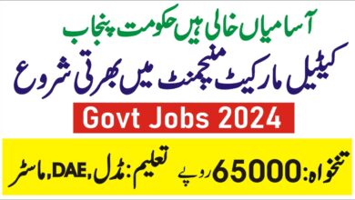 PCMMDC Jobs 2024