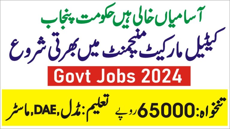 Jobsin.PK – Latest Jobs, Online Earning, Scholarship, — Jobsin.PK ...