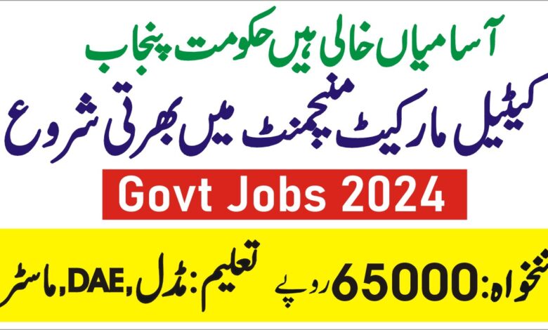 PCMMDC Jobs 2024