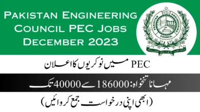 Pakistan-Engineering-Council-PEC-Jobs