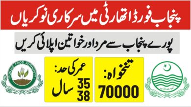 Punjab Food Authority Jobs Food Department