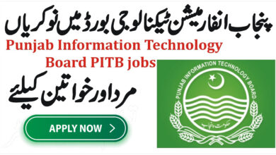 Punjab Information Technology Jobs