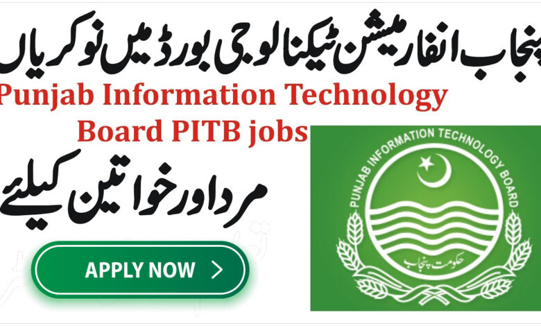 Punjab Information Technology Jobs