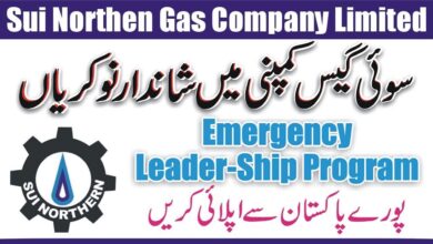 SSGC Jobs 2024 – Sui Southern Gas Company Limited