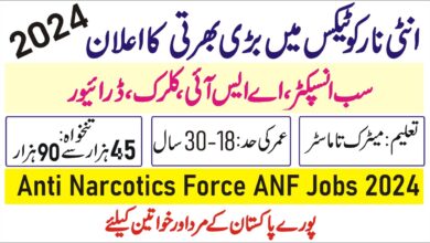 Exploring ANF Jobs 2024: Opportunities and Eligibility Criteria