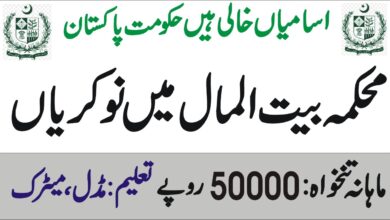 Social Welfare & Bait-ul-Maal Department Punjab Jobs 2024