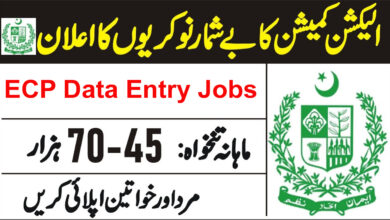 ecp jobs 2023