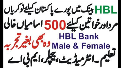 hbl jobs 2023