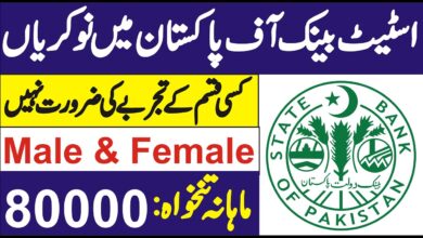 SBP Jobs 2023 State Bank of Pakistan | Apply Online at SBP Career Portal