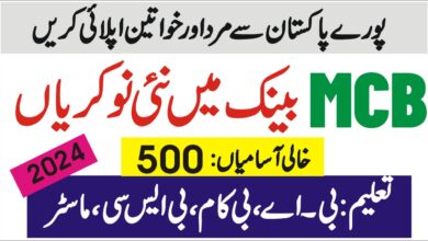 mcb jobs 2024