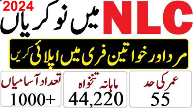 NLC Jobs 2024 National Logistics Cell