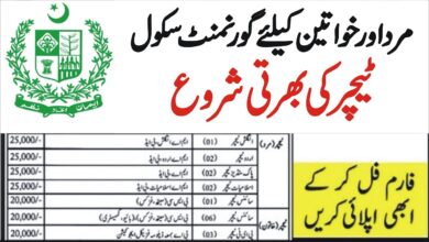 AJK Elementary & Secondary Education Department Jobs 2024