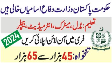 NJP – Ministry of Defence Jobs 2024