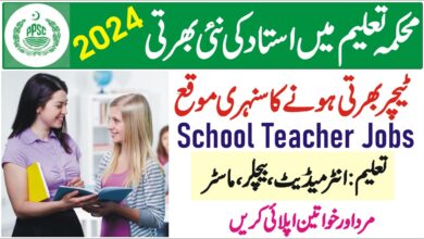 New Govt Teacher Jobs 2024