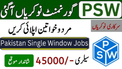 Pakistan Single Window Jobs 2024 – PSW Govt Jobs Apply Online