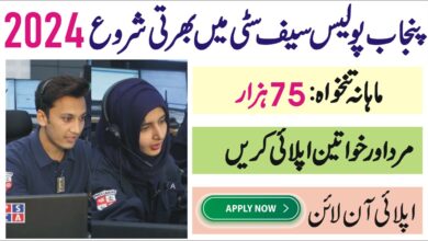 Punjab Police Safe Cities Authority PSCA Jobs 2024