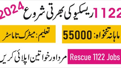 Rescue 1122 Jobs