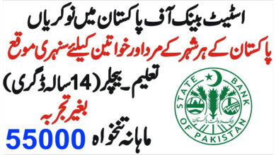 SBP Jobs 2024 State Bank of Pakistan | Apply Online at SBP Career Portal