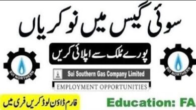 Sui Southern Gas Company (SSGC) Jobs 2024