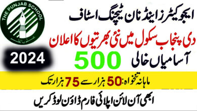 The Punjab School Jobs 2024 Online Apply