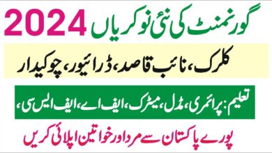 govt jobs 2024