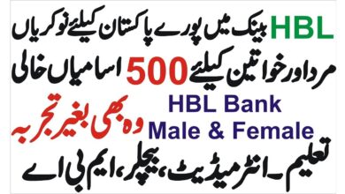 HBL Jobs 2024