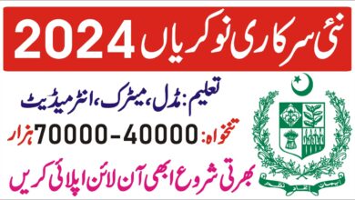 new govt jobs 2024