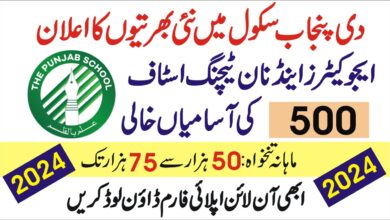 the punjab school Jobs 2024