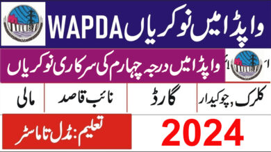 wapda jobs 2024