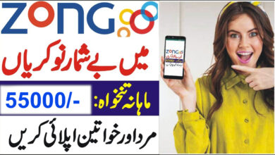 zong jobs