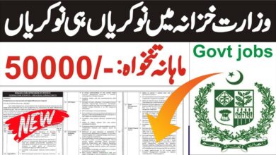 Finance Department Punjab Jobs 2024 Career Opportunities