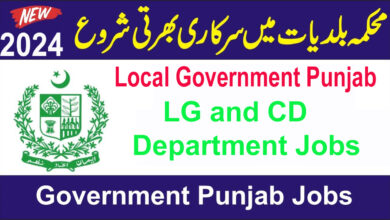 Local Government Punjab Jobs 2024