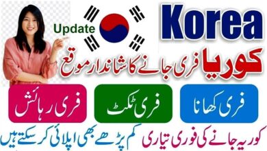 OEC Korea Jobs 2024