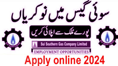 Sui Southern Gas Company SSGC Jobs 2024