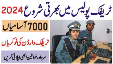 Traffic Assistant Jobs 2024 - Punjab Police Department