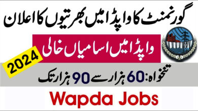 Wapda Jobs Apply