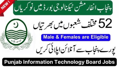 Punjab Information Technology Board PITB Jobs