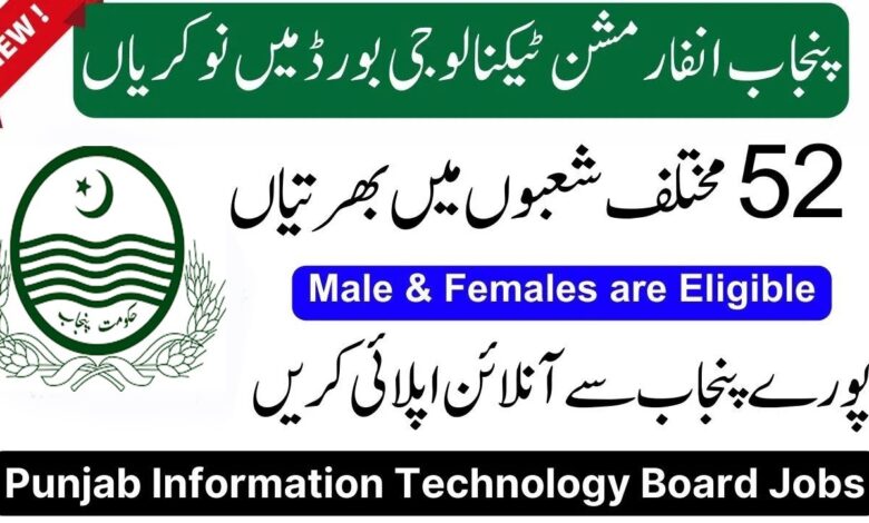 Punjab Information Technology Board PITB Jobs