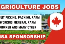 P&H Farming Jobs in Canada with Visa Sponsorship 2024